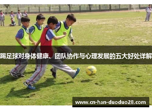 踢足球对身体健康、团队协作与心理发展的五大好处详解