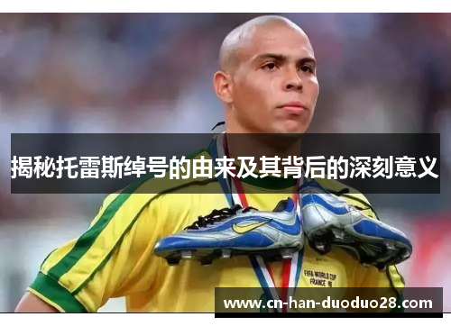 揭秘托雷斯绰号的由来及其背后的深刻意义