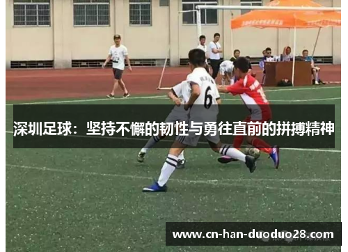 深圳足球:坚持不懈的韧性与勇往直前的拼搏精神 深圳足球:坚持不懈的韧性与勇往直前的拼搏精神