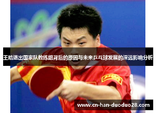 王皓退出国家队教练组背后的原因与未来乒乓球发展的深远影响分析 王皓退出国家队教练组背后的原因与未来乒乓球发展的深远影响分析