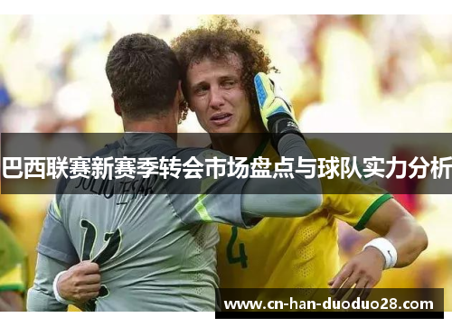 巴西联赛新赛季转会市场盘点与球队实力分析