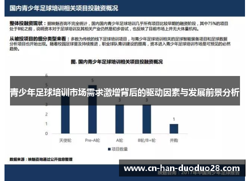 青少年足球培训市场需求激增背后的驱动因素与发展前景分析 青少年足球培训市场需求激增背后的驱动因素与发展前景分析